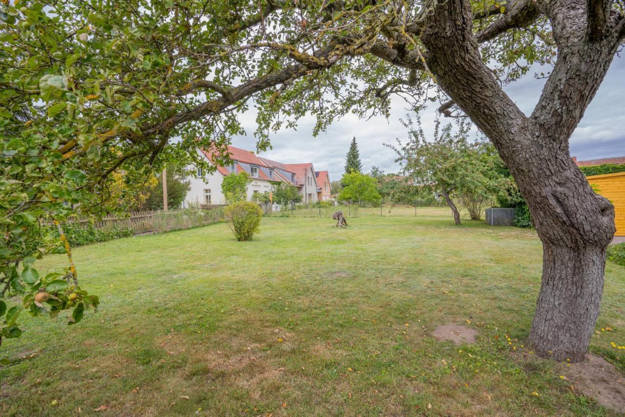 Ferienhaus "Seeadler" In Rankwitz Am Peenestrom Luaran gambar
